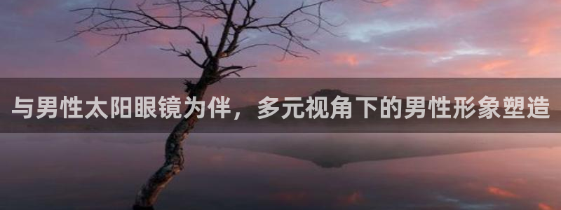 龙腾辉达电子娱乐