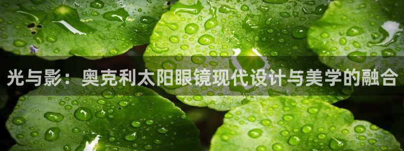 正规辉达娱乐平台