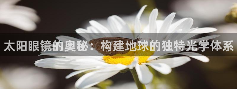 辉达娱乐兼职