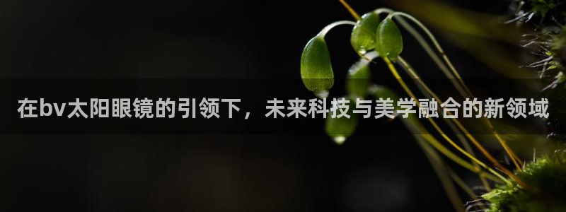 信誉辉达娱乐官方网址