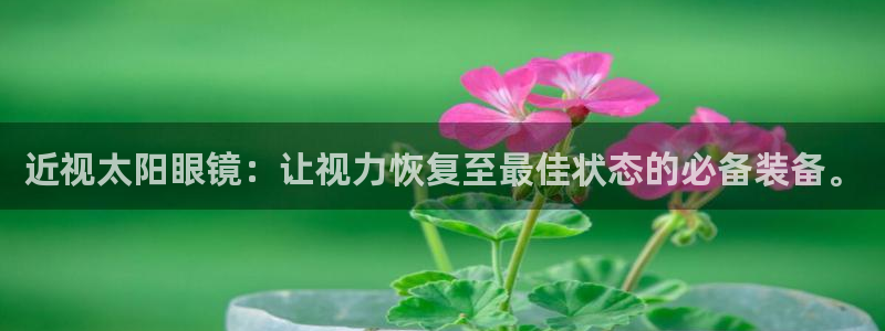 辉达娱乐官方网址