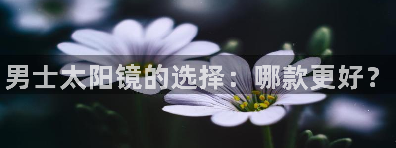 辉达平台官网网站