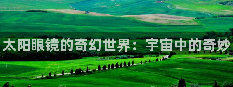 龙腾辉达电子娱乐