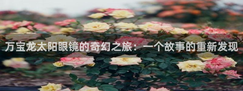 辉达娱乐加扣75775