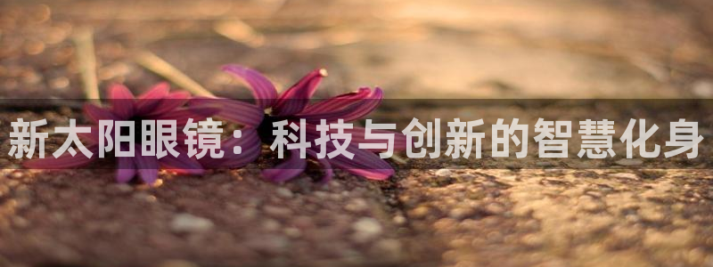 辉达娱乐福彩