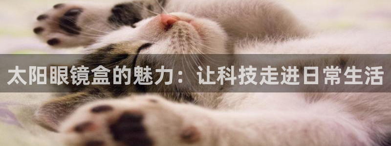 信誉辉达娱乐在线游戏