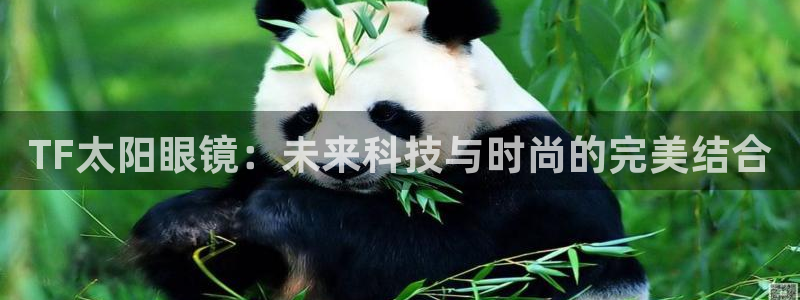 辉达娱乐兼职