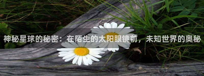 辉达娱乐最新消息新闻