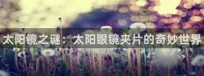 龙腾辉达电子娱乐