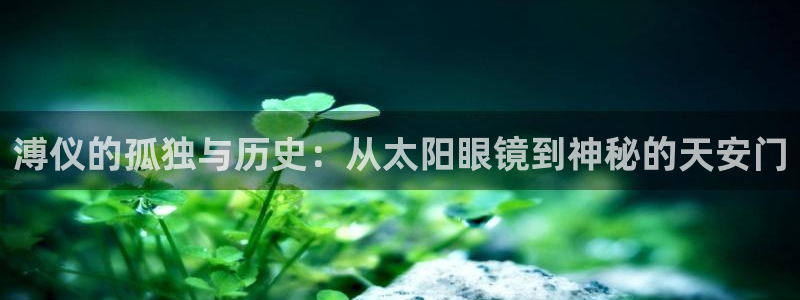 辉达娱乐可靠