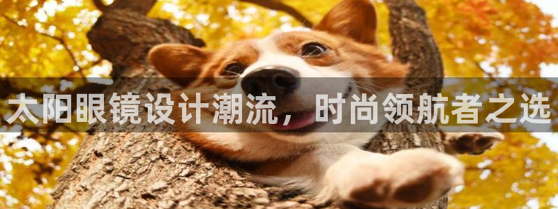 辉达娱乐加扣75775