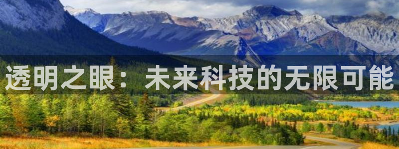 辉达平台娱乐怎么样