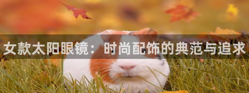 辉达娱乐123123