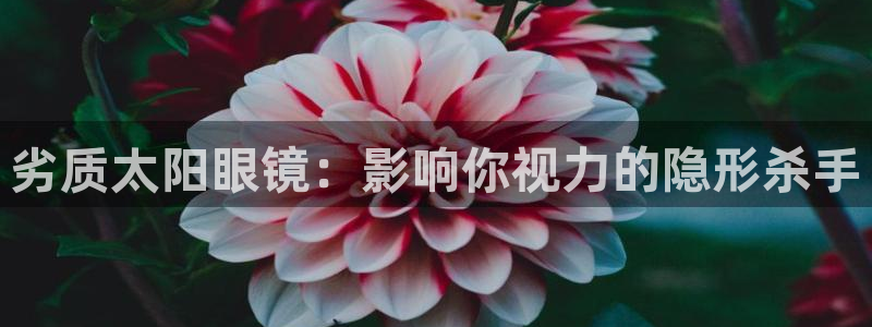 辉达娱乐官方网址
