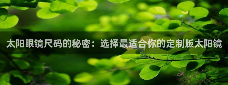 代理辉达娱乐官方网址