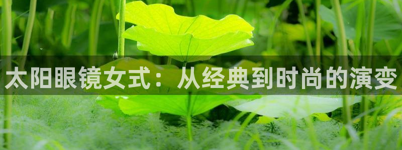 辉达平台官网网站