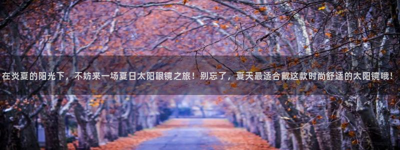 辉达娱乐电子