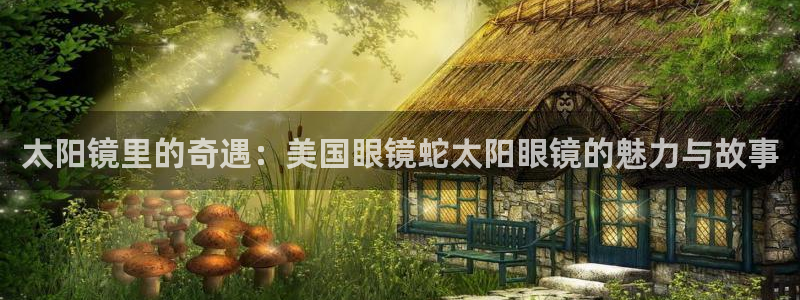 代理辉达娱乐