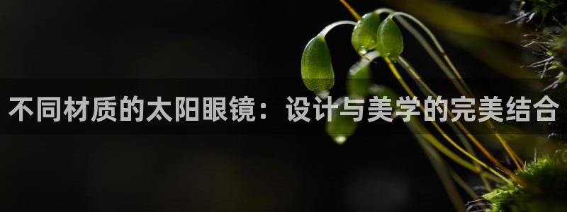 辉达娱乐最新版本更新内容