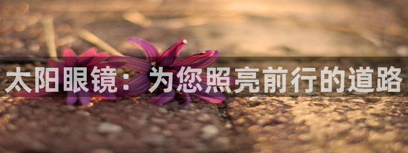 辉达娱乐招商