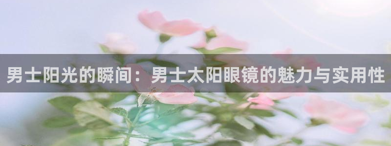 辉达娱乐总部