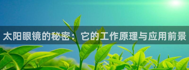 辉达娱乐最新版本更新内容