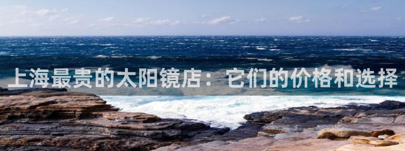 辉达娱乐公司