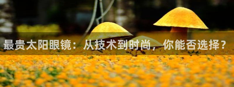 辉达娱乐丶39444