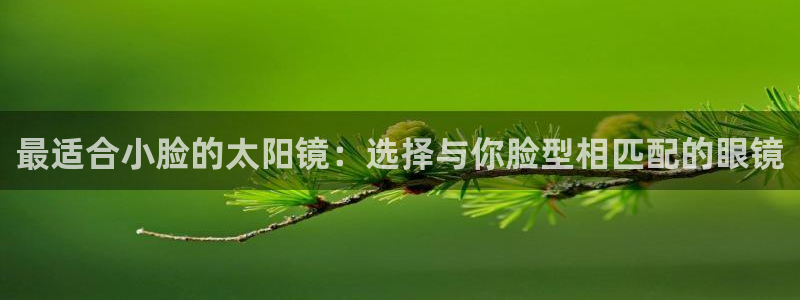 辉达平台官网首页
