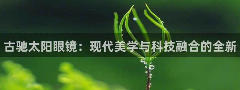 辉达娱乐最新现状