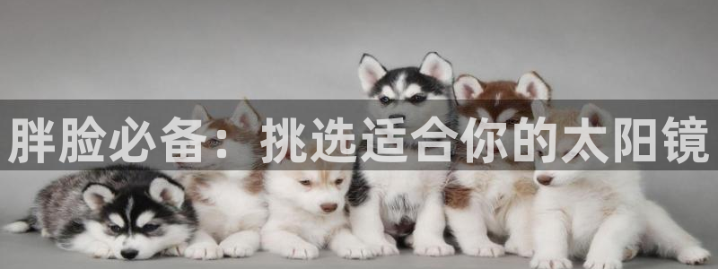 辉达娱乐ag游戏平台