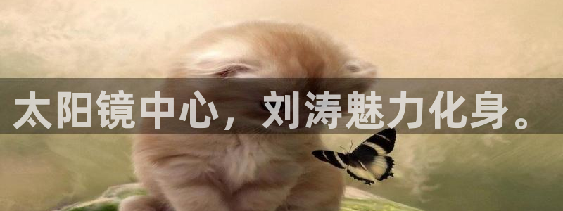 专业辉达娱乐官方网址