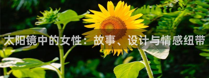 辉达娱乐