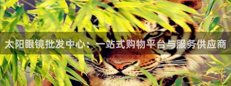 辉达娱乐排列三
