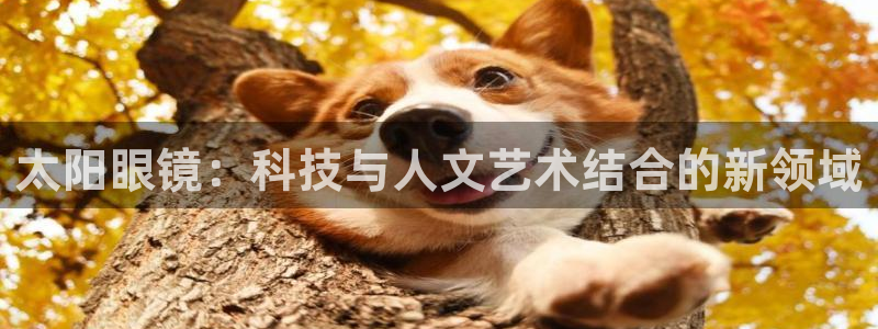 辉达娱乐时时彩