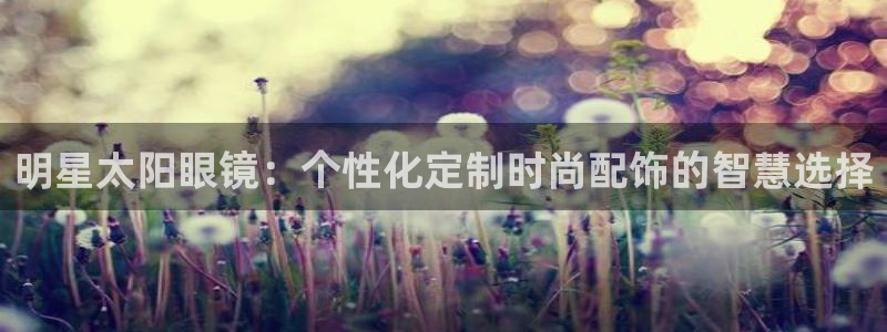辉达娱乐计划软件