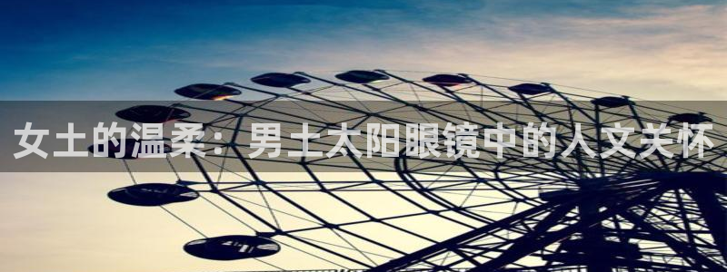 辉达娱乐公司