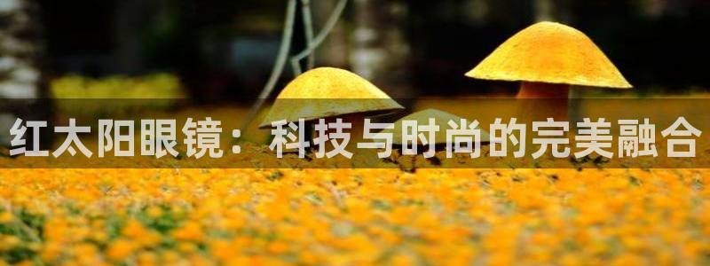 信誉辉达娱乐官方网址