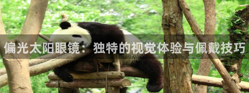 辉达娱乐时时彩平台