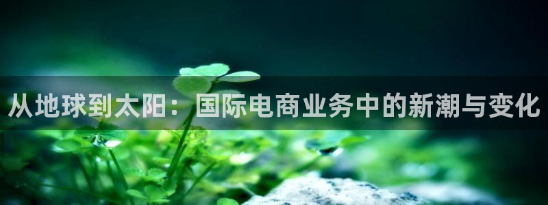 辉达娱乐检测