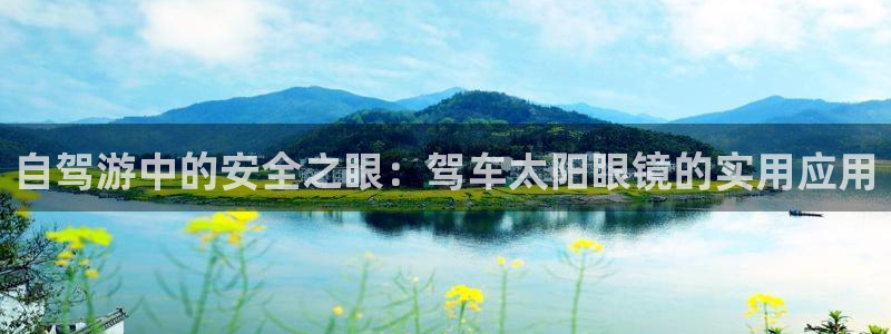 辉达平台官网电话
