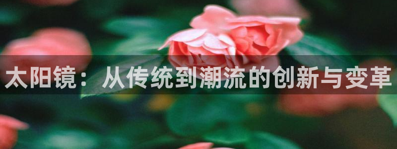 信誉辉达娱乐官方网址