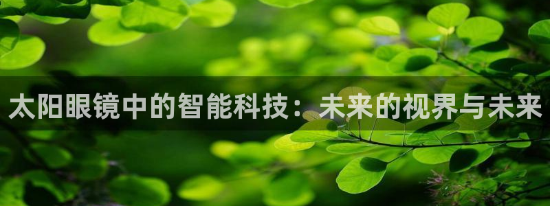 代理辉达娱乐