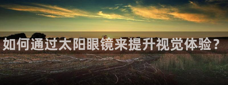 龙腾辉达电子娱乐