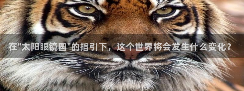 辉达平台官网网站