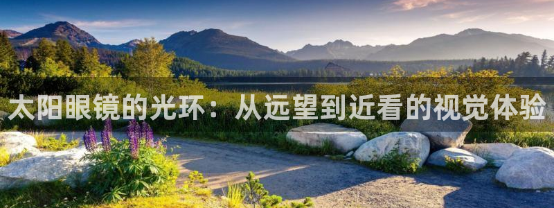 辉达娱乐游戏.直开.中国