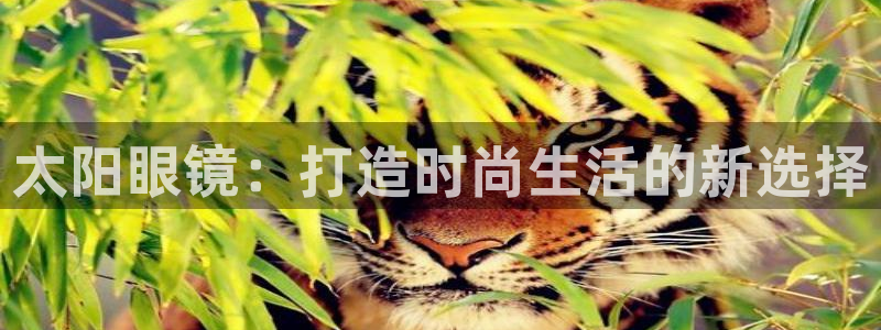 正规辉达娱乐平台