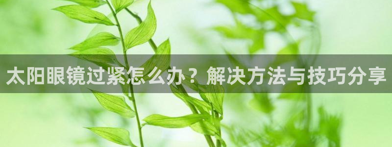 辉达娱乐可靠