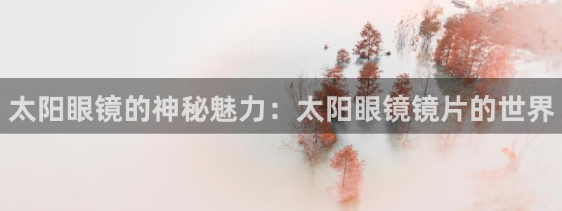 辉达娱乐丶75505