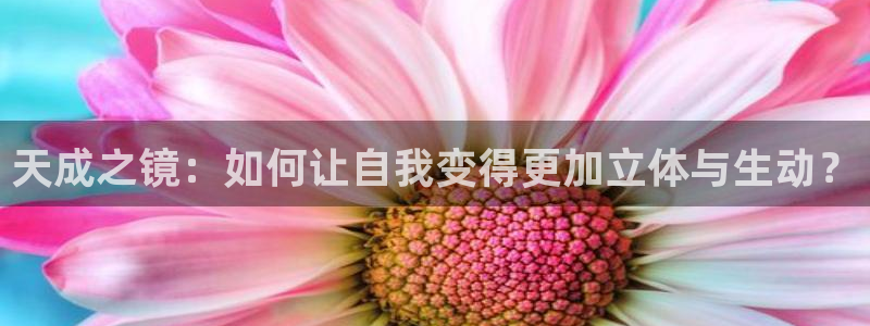 辉达娱乐体彩